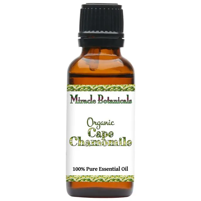 Chamomile (Cape) Essential Oil - Organic (Eriocephalus Punctulatus)