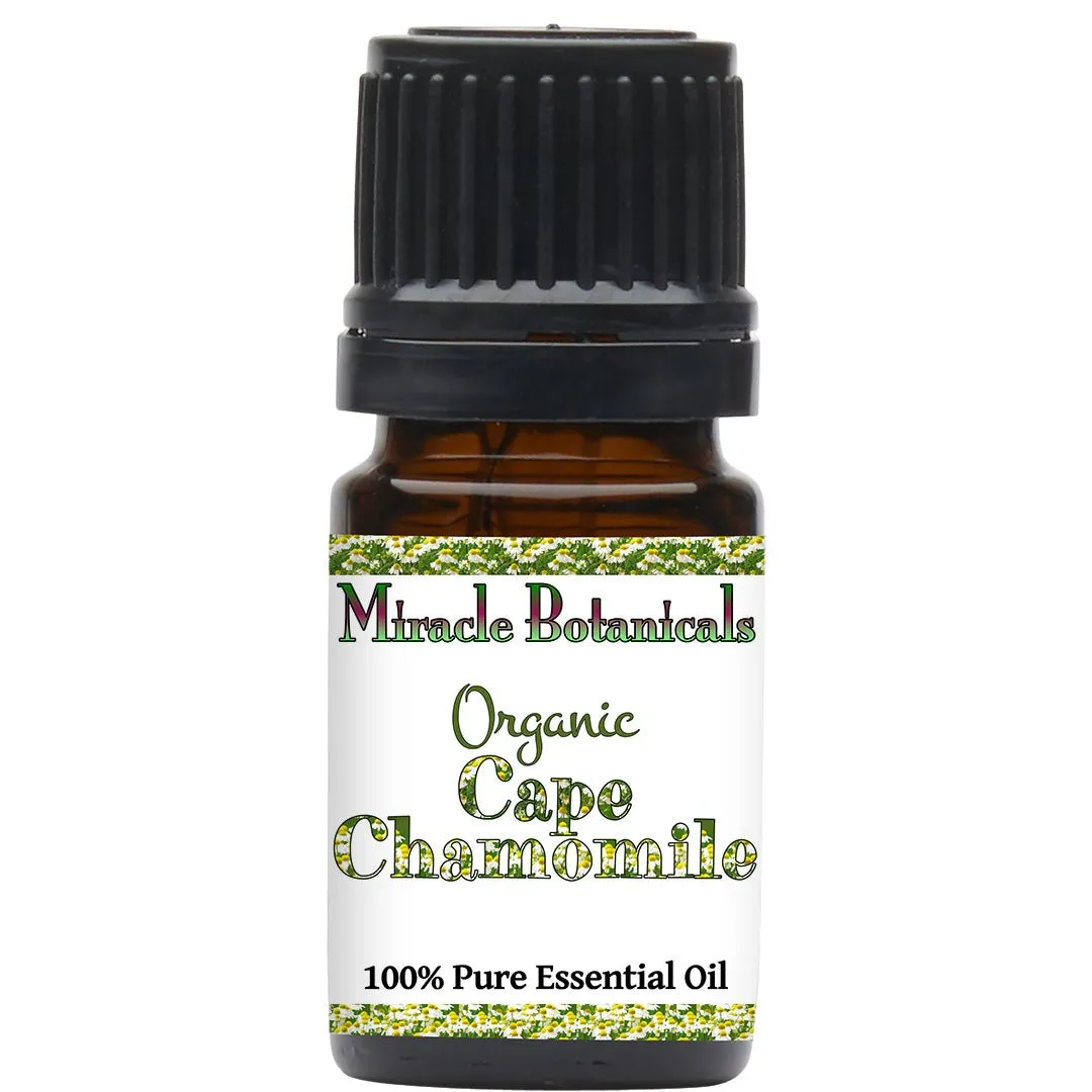 Chamomile (Cape) Essential Oil - Organic (Eriocephalus Punctulatus)