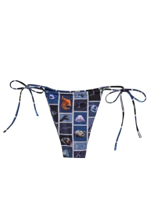 Cuter Fish String Bikini Bottoms WRONG FABRIC